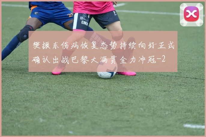 樊振东伤病恢复态势持续向好正式确认出战巴黎大满贯全力冲冠